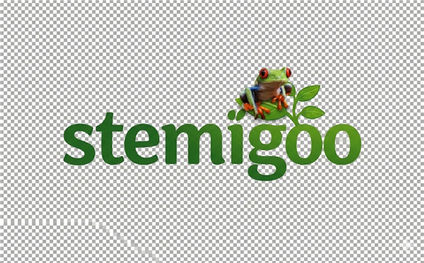 STEMigoo logo